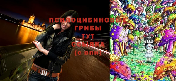 MDMA Premium VHQ Белокуриха